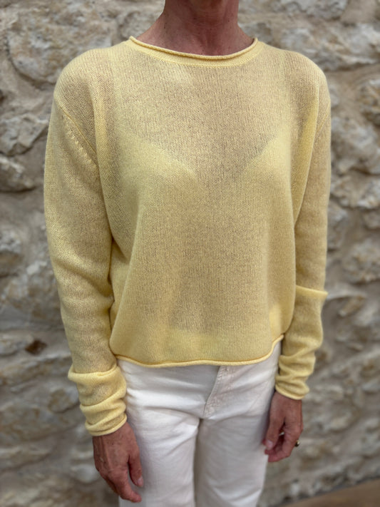 Pull Danae - NOT SHY